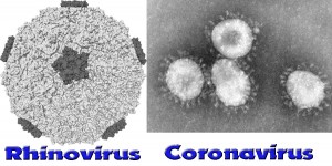Senza titolonvirus-1